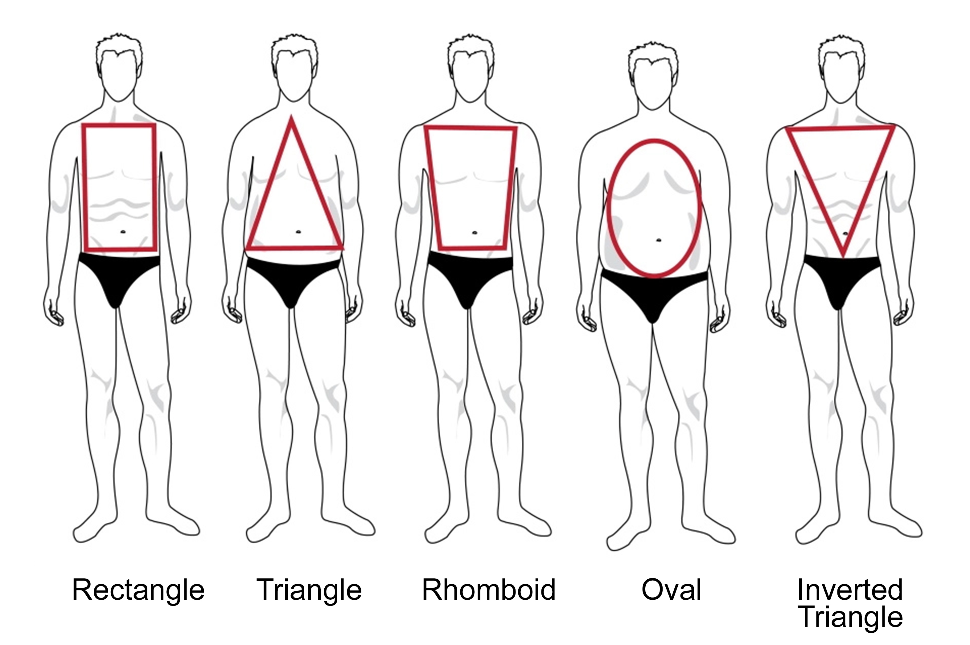 mens body shapes